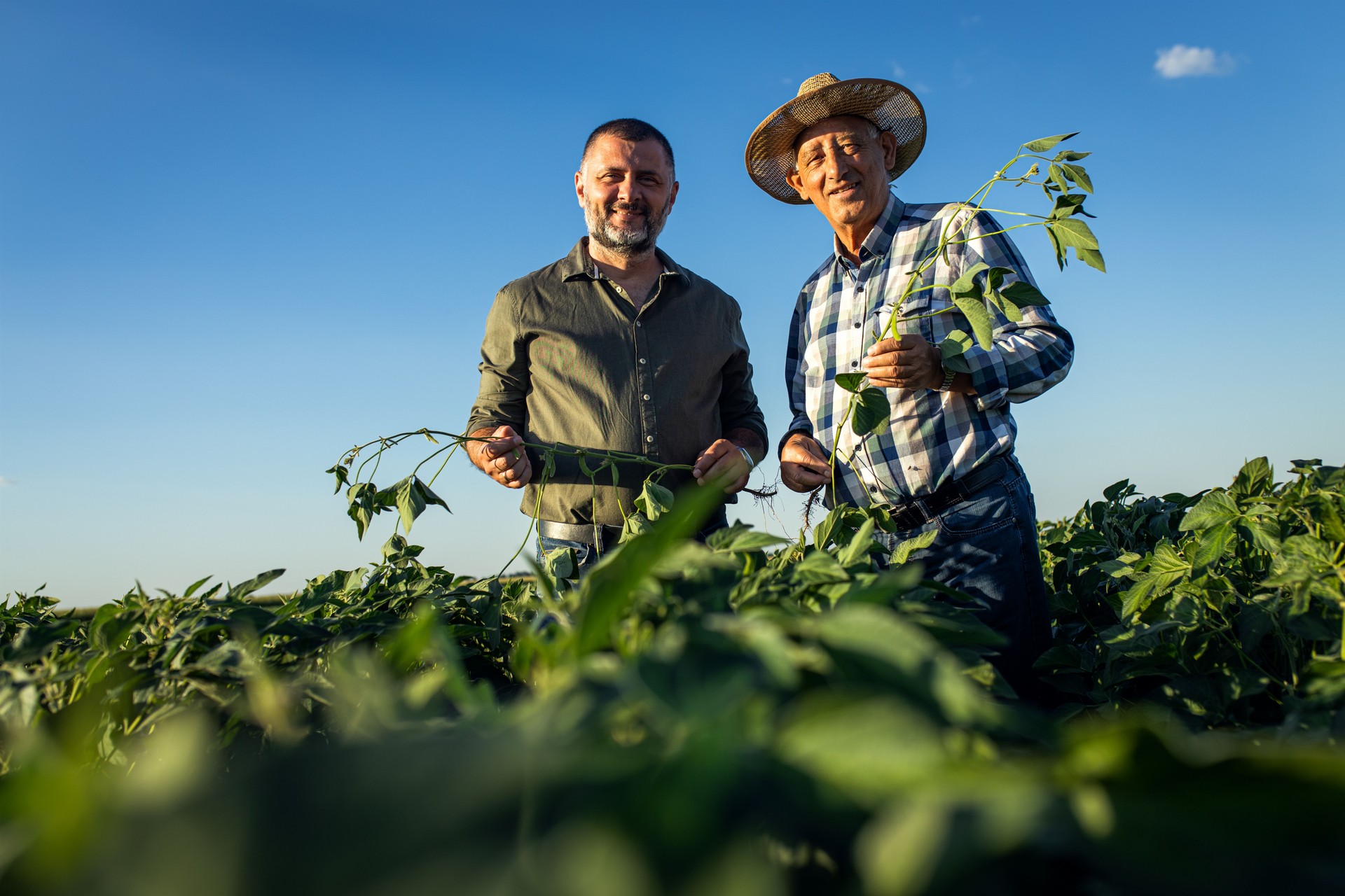 Portrait of two farmers in a soy field.