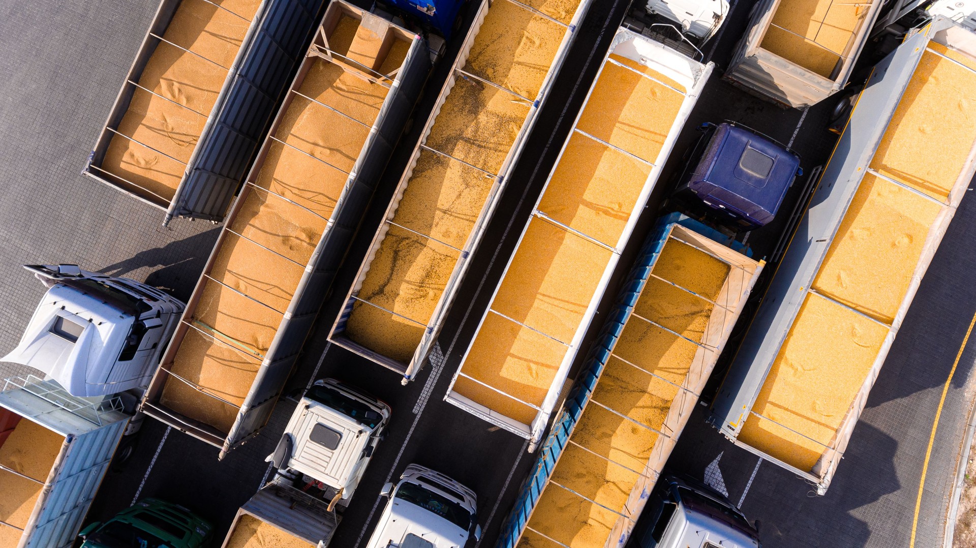 Photograph of Grain in Trucks for Export. Aerial View. Ukraine
